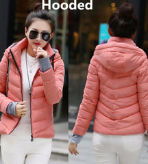 Cotton-Padded Winter Coat