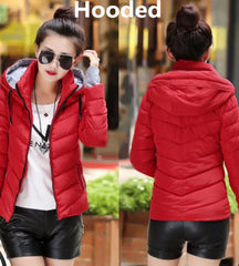 Cotton-Padded Winter Coat