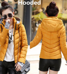 Cotton-Padded Winter Coat