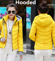 Cotton-Padded Winter Coat