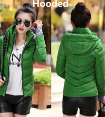 Cotton-Padded Winter Coat