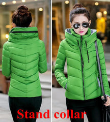 Cotton-Padded Winter Coat