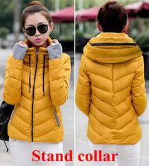 Cotton-Padded Winter Coat